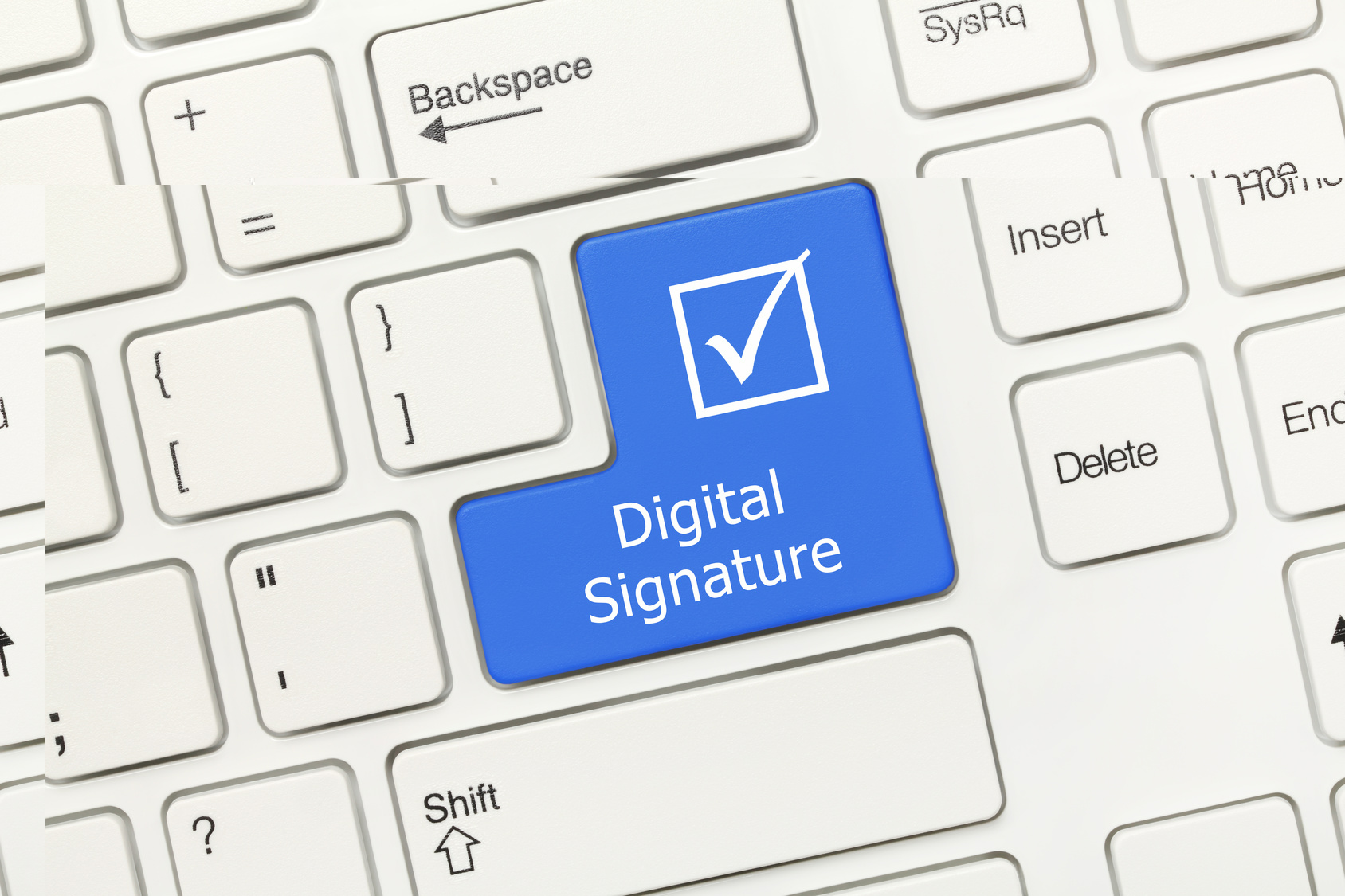 DIGITAL SIGNATURE.jpg